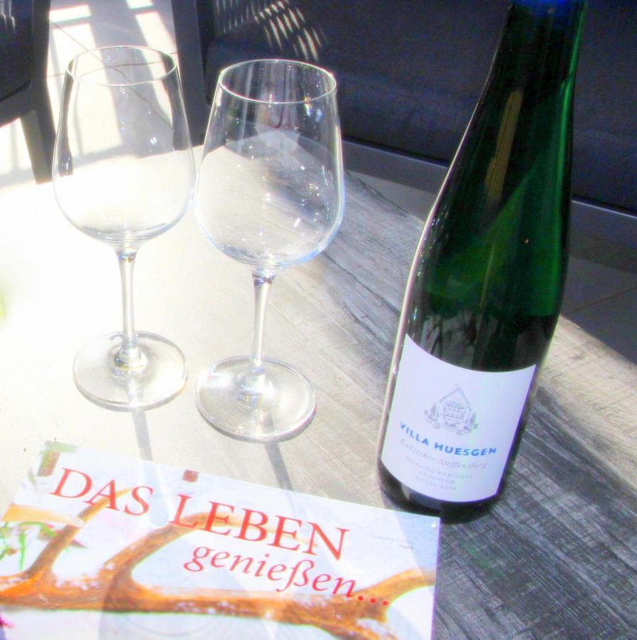 Mosel-Loggia - Luxusapartment -Terrass - Klimaanlage Traben-Trarbach Dış mekan fotoğraf